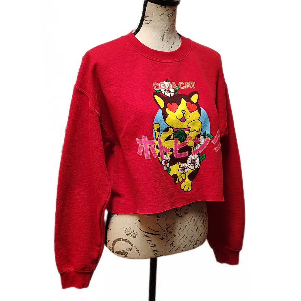 Official Doja Cat "Hot Pink" Album Red Cropped Sweatshirt Medium Oversized Merch - Picture 3 of 4